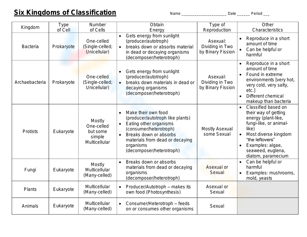 classification and kingdoms worksheet