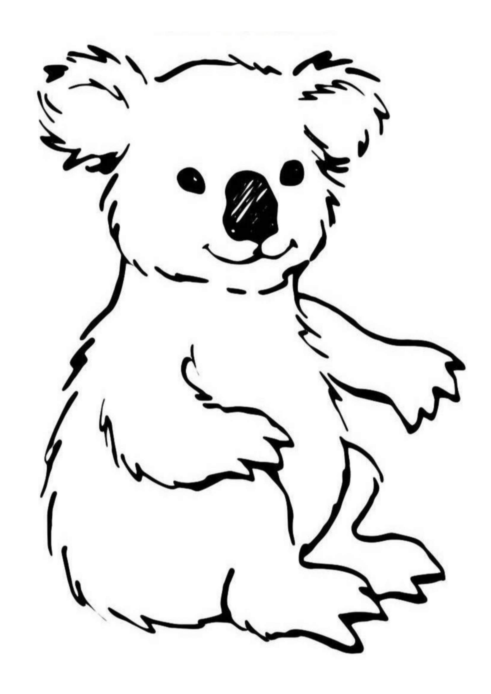 Free Printable Koala Coloring Pages For Kids Animal Place