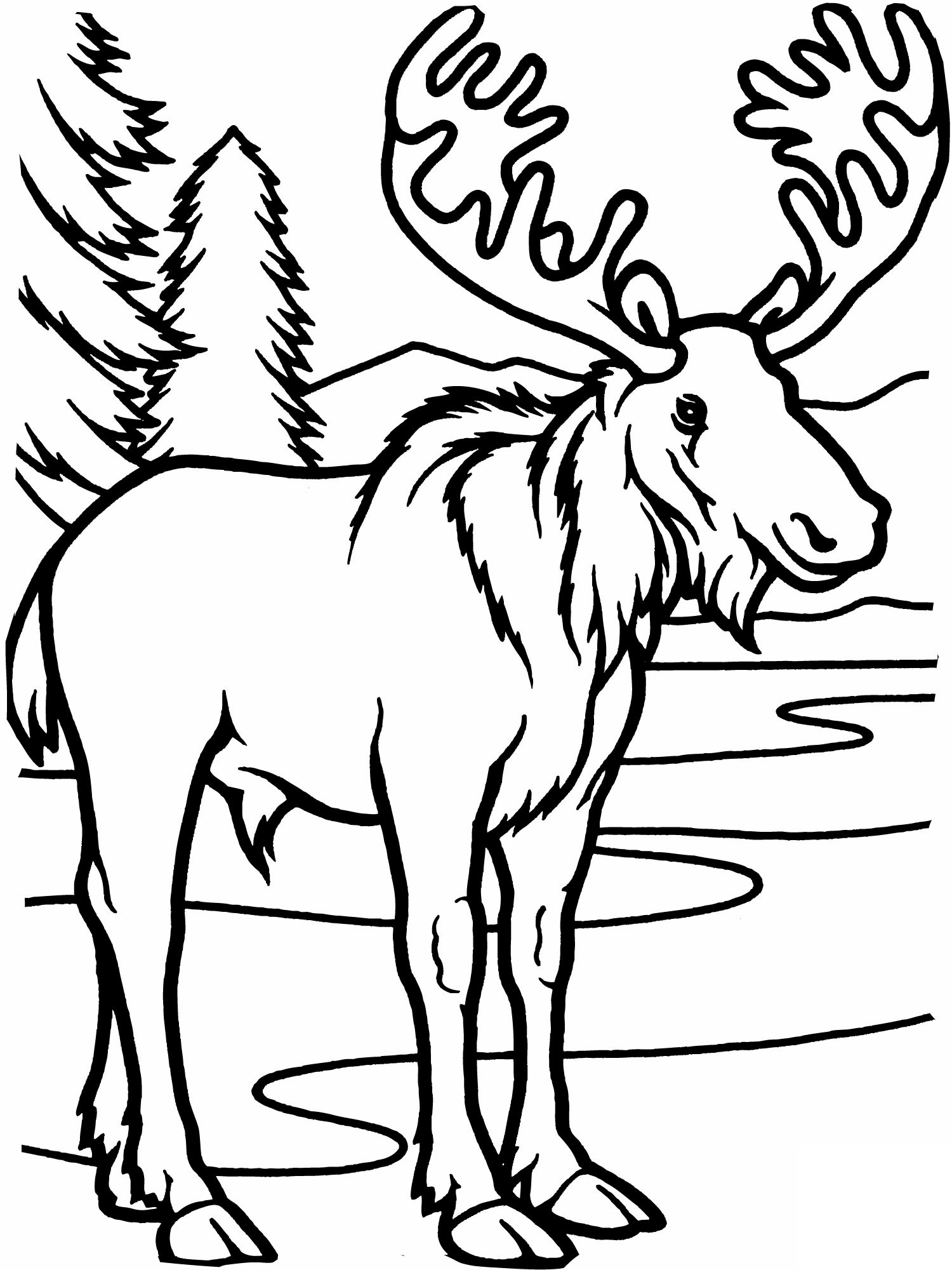 Free Coloring Pages Printable
