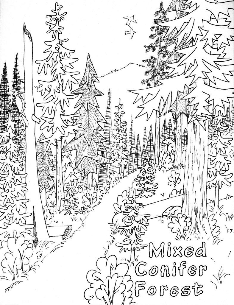Free Printable Nature Coloring Pages For Kids Best Coloring Pages For 