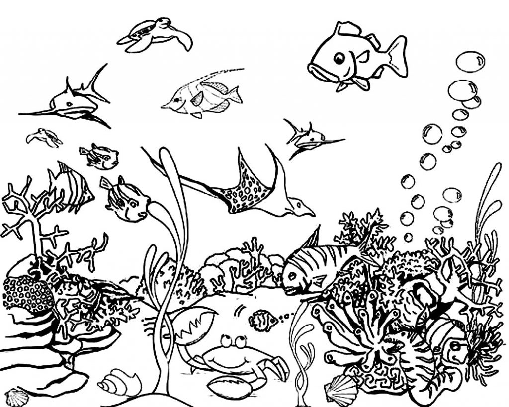 Ocean Coloring Pages