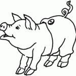 Free Printable Pig Coloring Pages For Kids