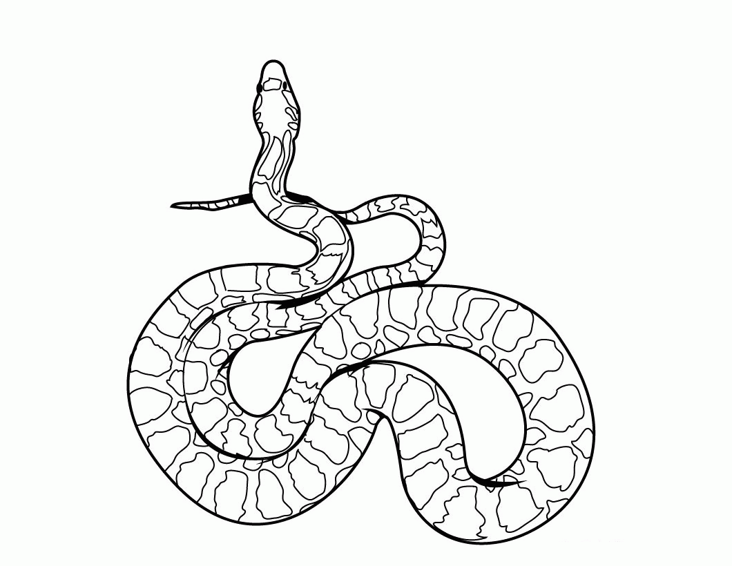 Snake Coloring Page