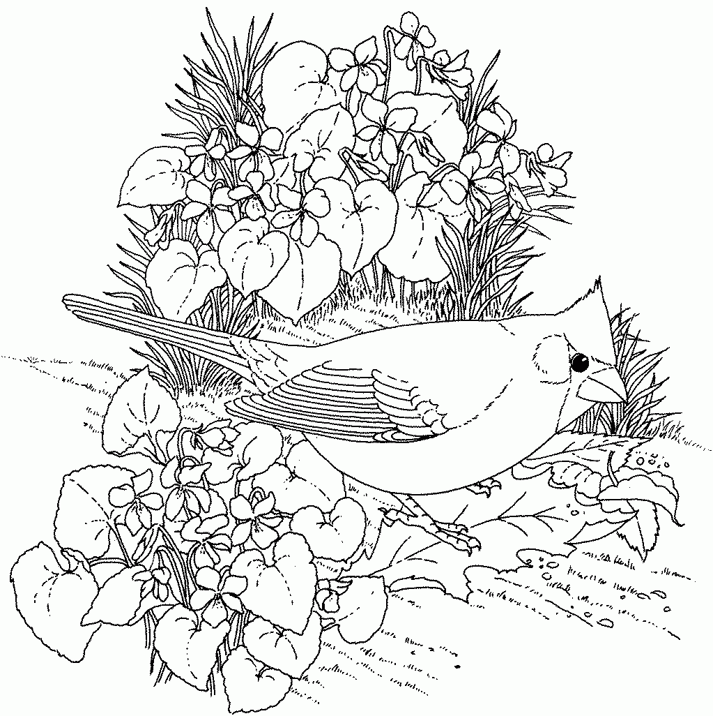 Free Printable Spring Flowers Coloring Pages Coloring Home