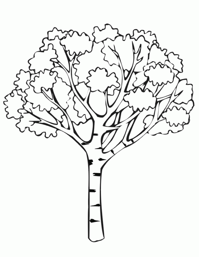 free printable tree coloring pages for kids