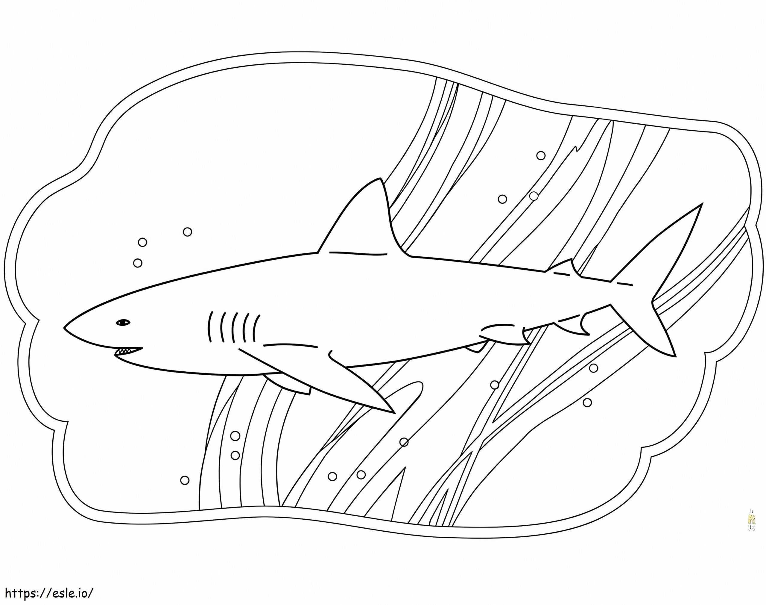 Shark Coloring Page