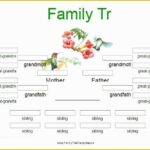 Free Tree Map Templates Of Editable Family Tree Template