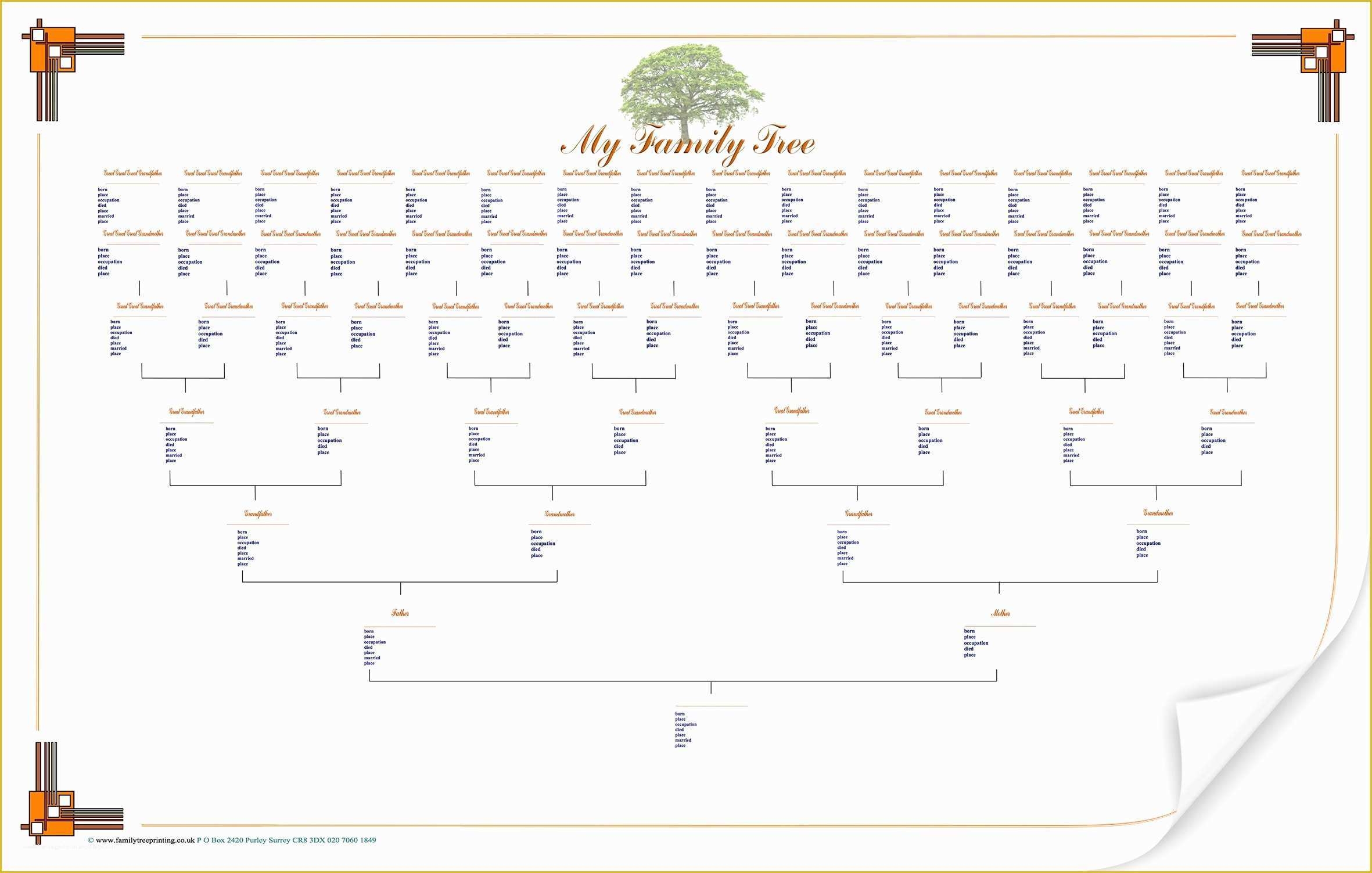 Free Tree Map Templates Of Family Tree Template Family Tree Template 