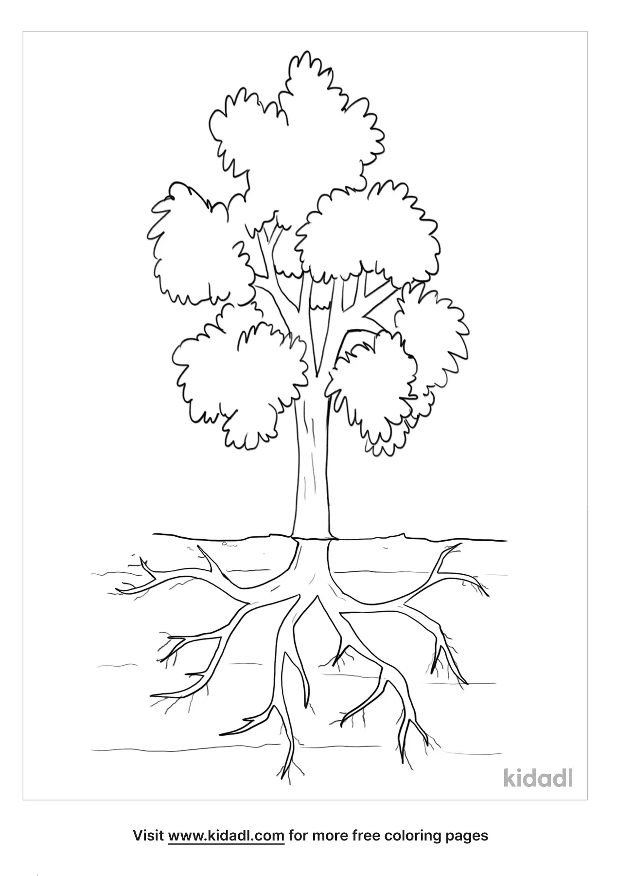 tree roots printable