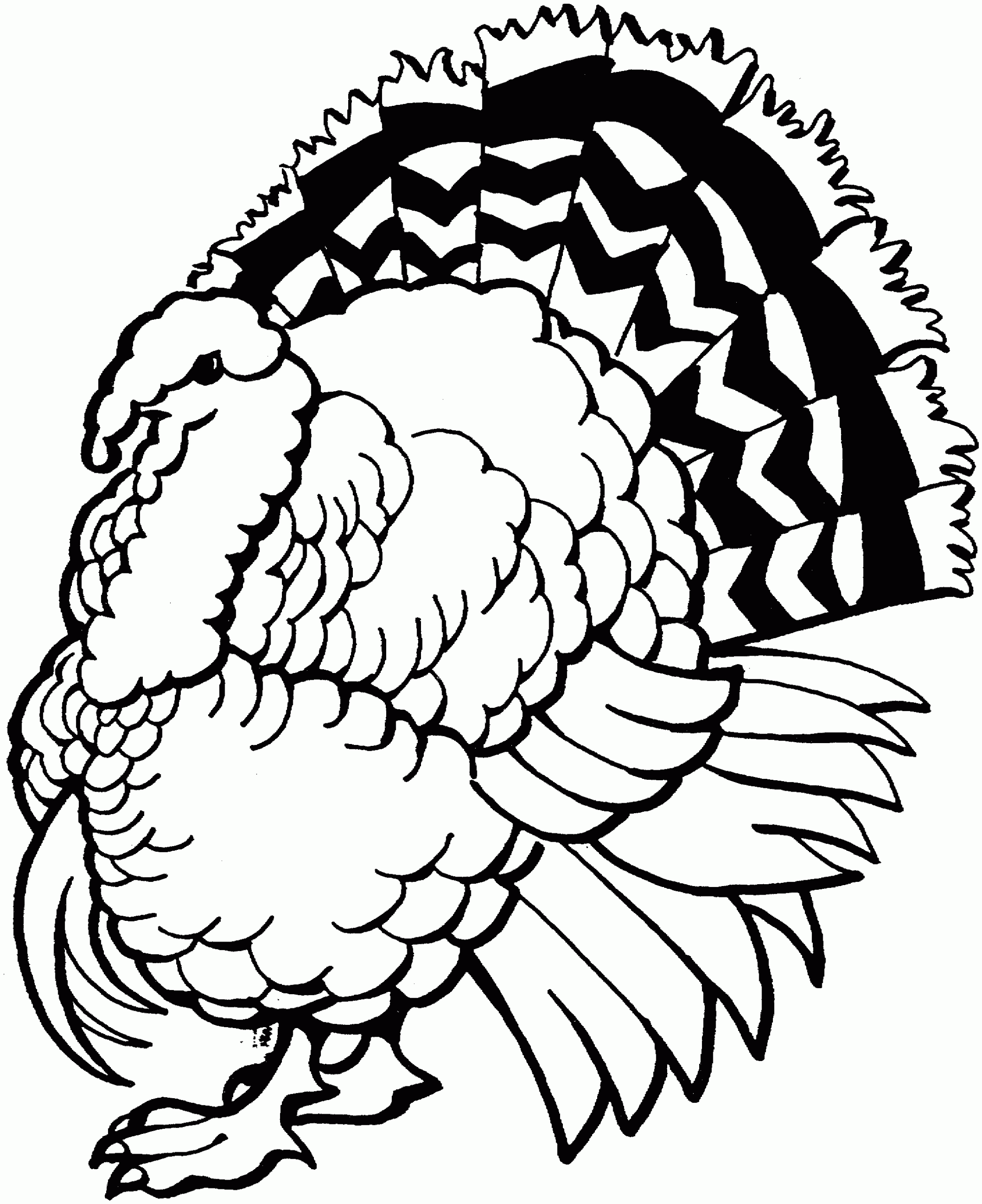 Free Turkey Coloring Pages