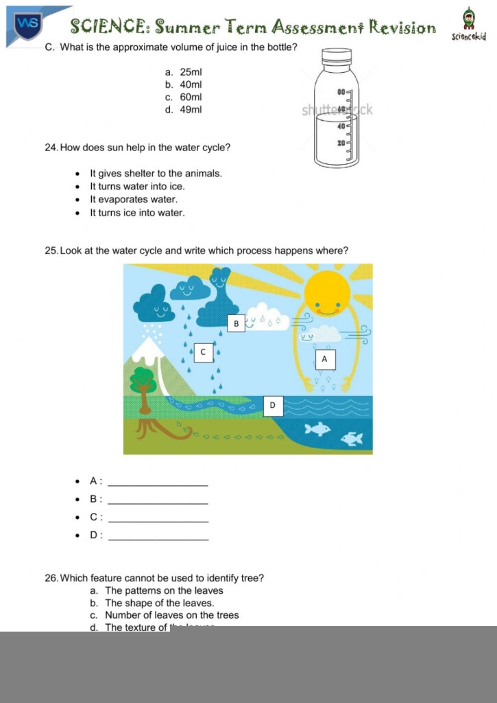 Free Worksheets Science Grade 3 Scienceworksheets