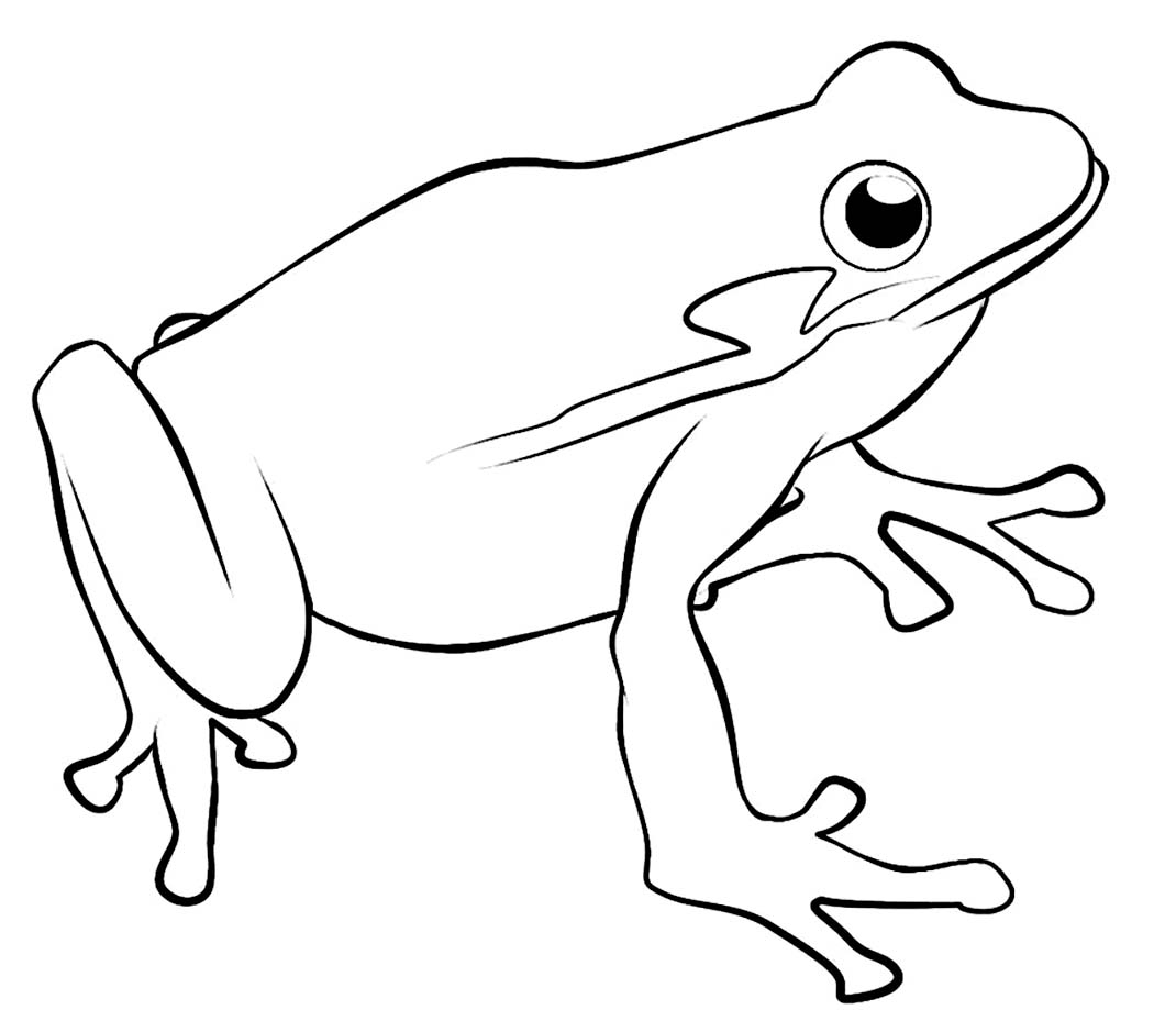 Frog Printable Printable Templates