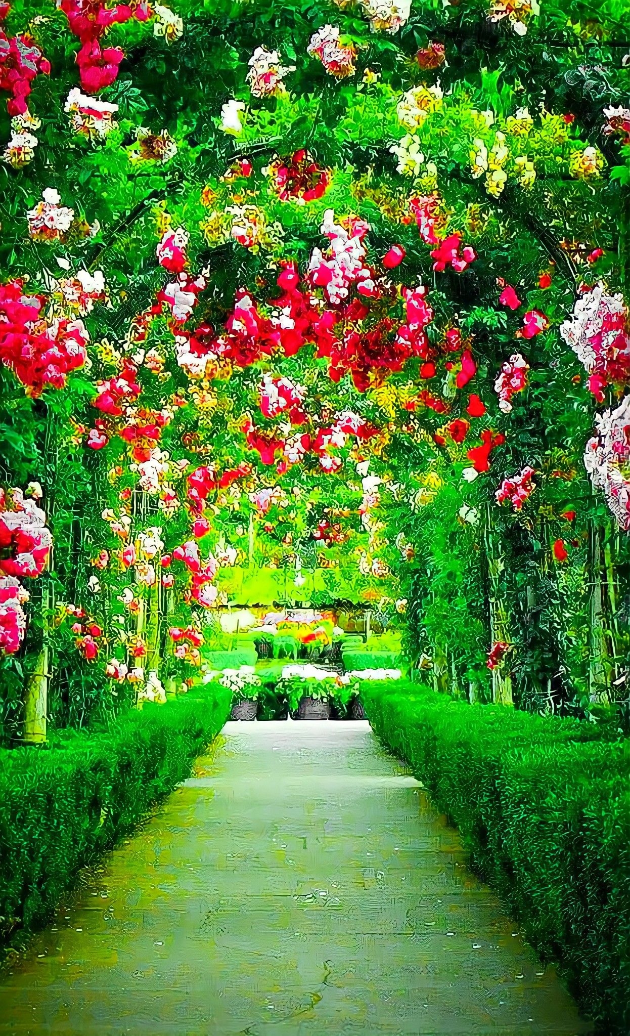Garden Background Garden Pictures Flower Background Images 