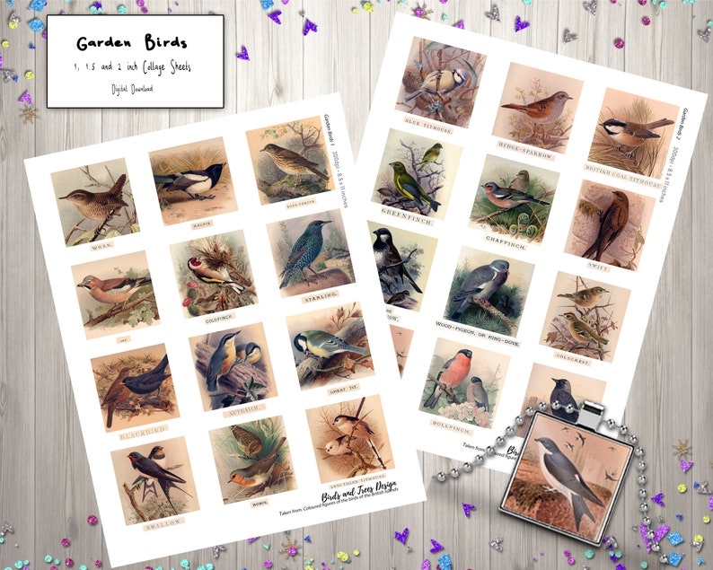 Garden Birds Printable Download British Ornithology Digital Etsy UK