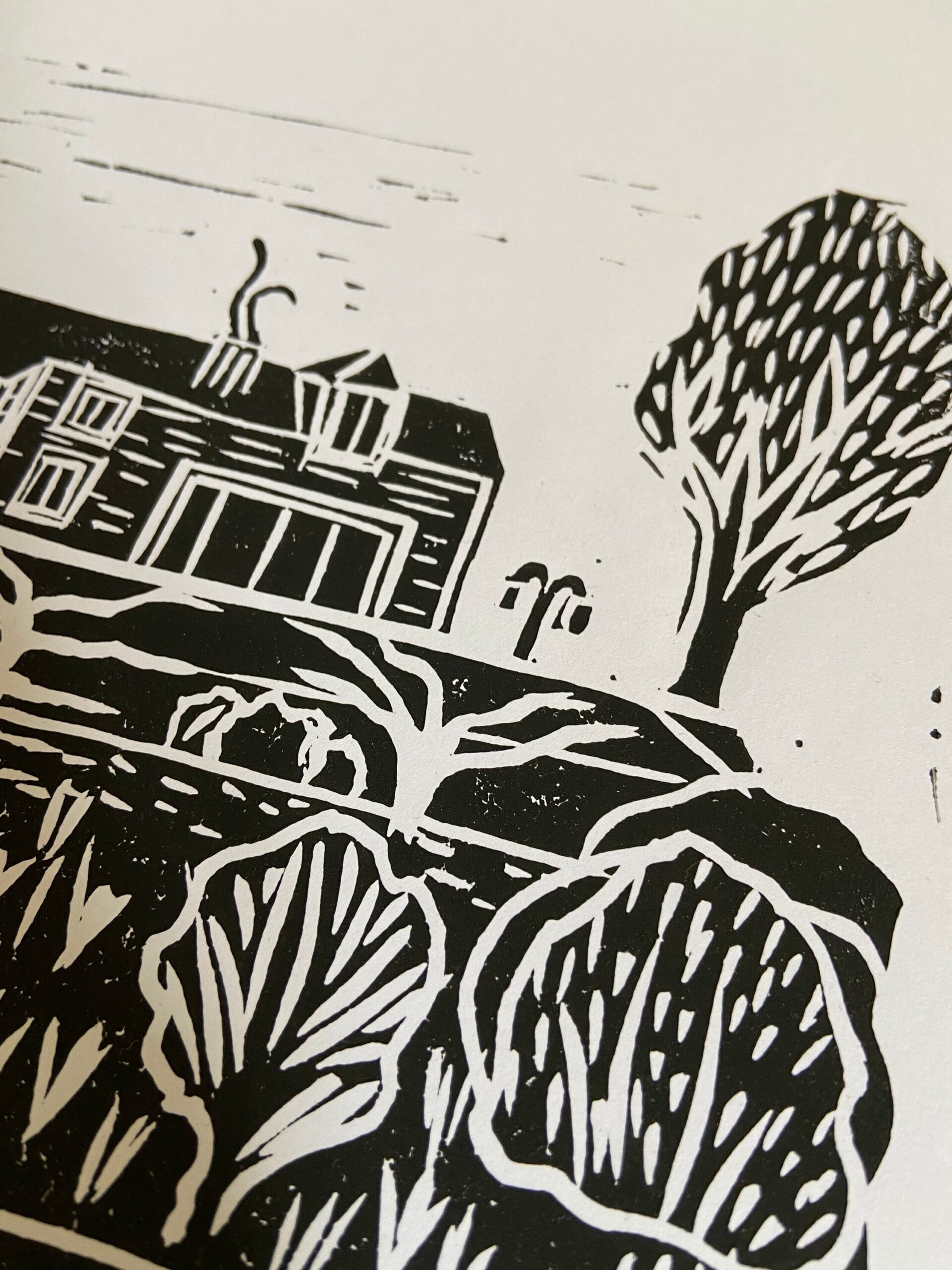 garden lino print