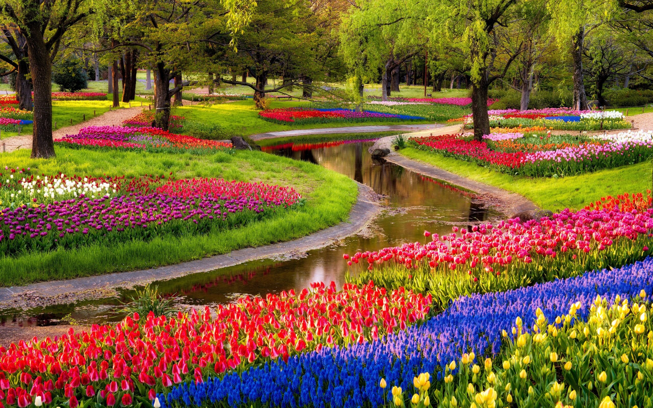 Garden Wallpapers HD Free Download