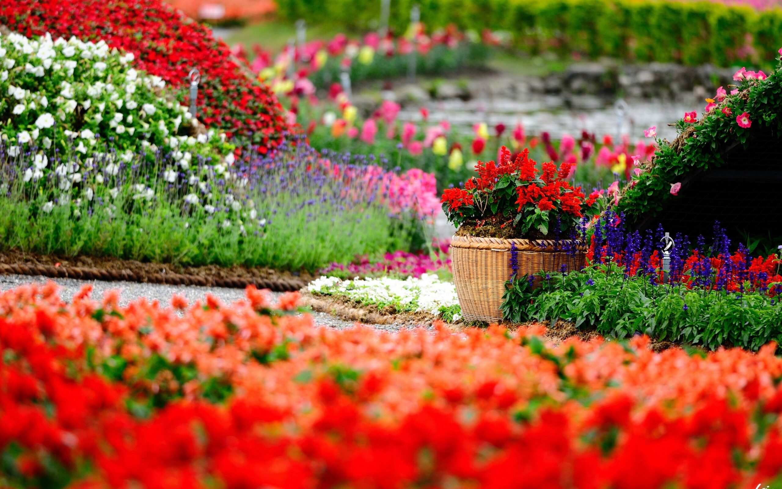 Garden Wallpapers HD Free Download