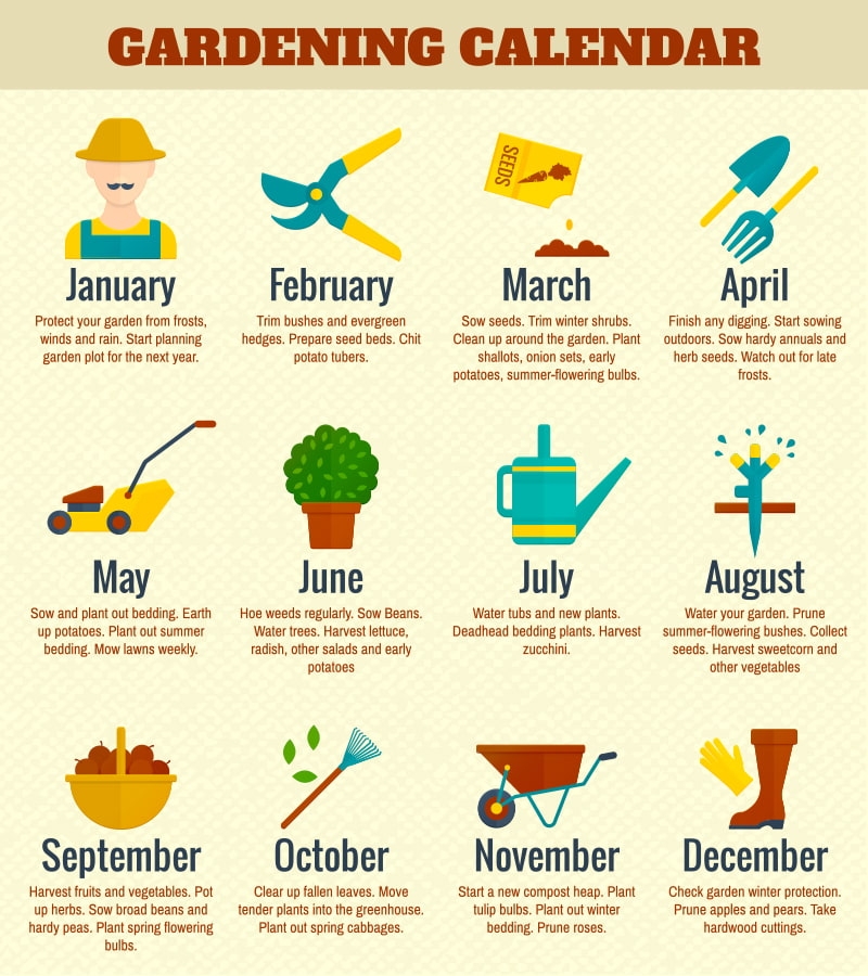 Gardening 2025 Calendar Ashil Terese