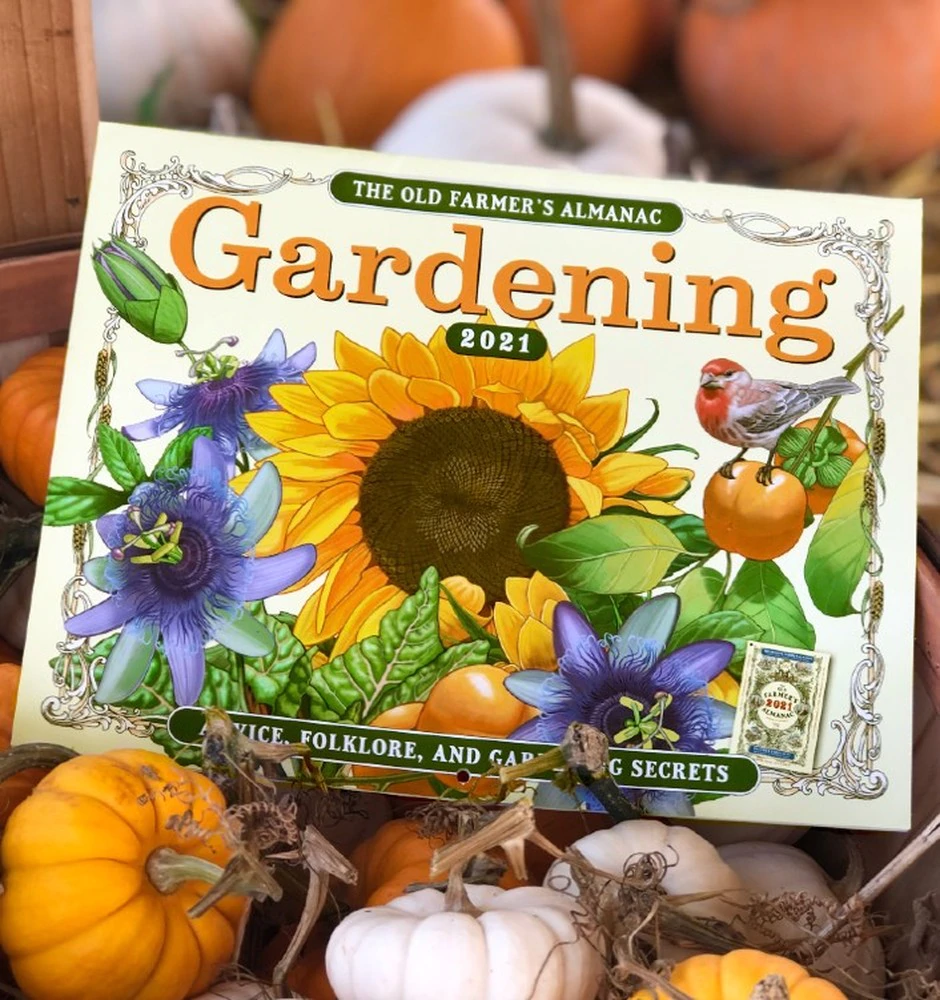 Gardening Calendar 2024 Calendar Productivity Hacks