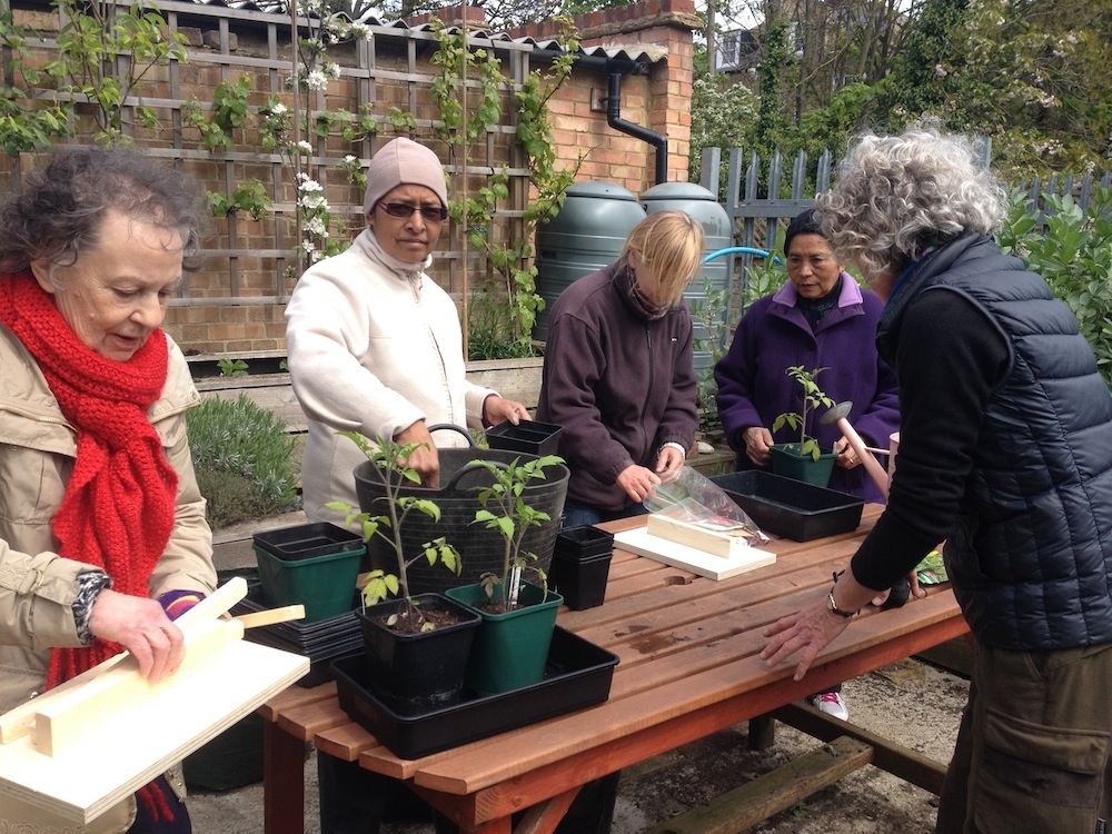 Gardening Club Ideas For Seniors Image To U