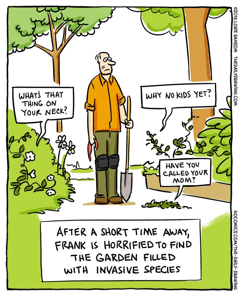 Gardening Comics A Tree Garden