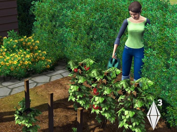 Gardening Sims 4 Tips Gardening Globe