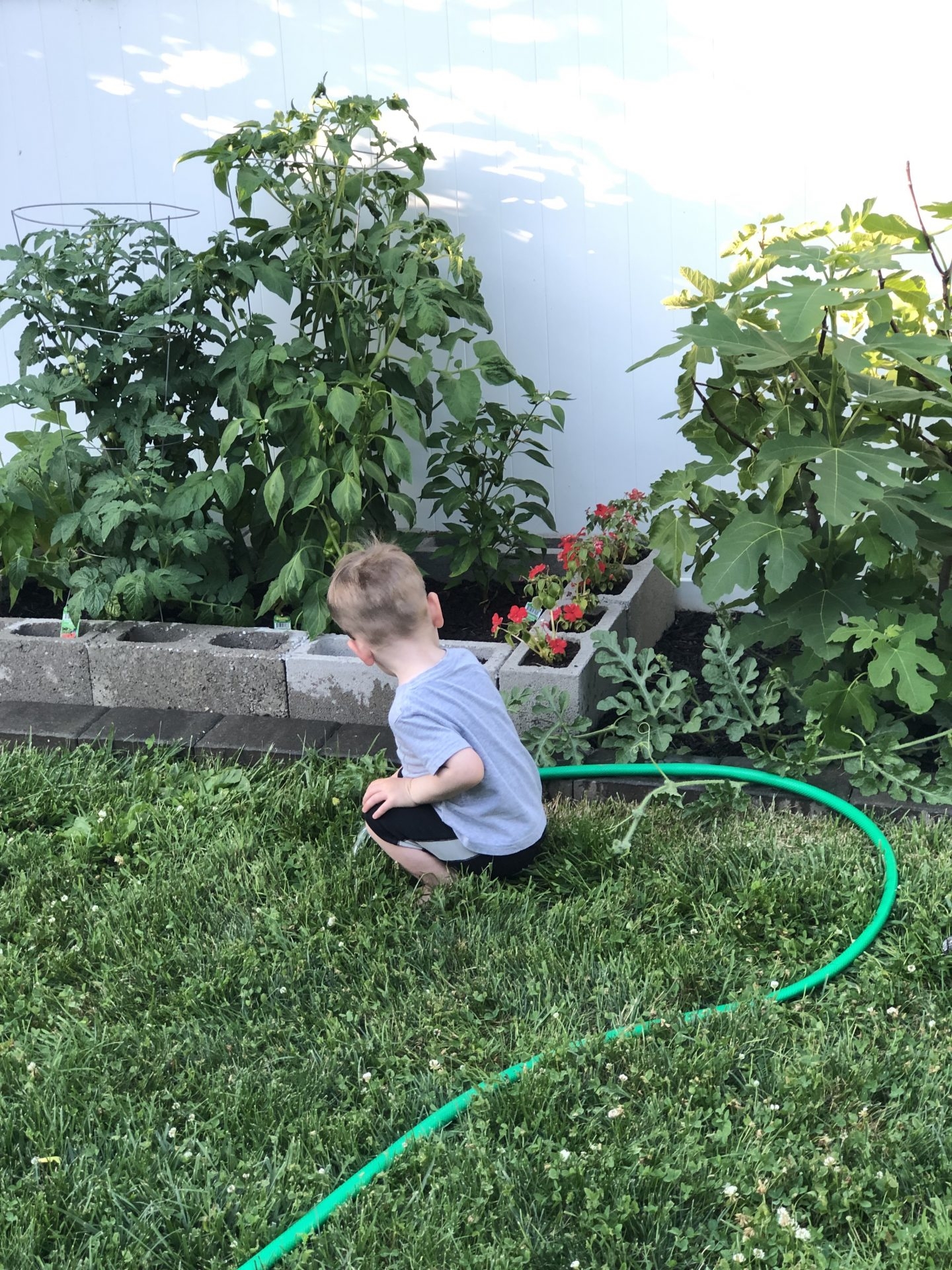 Gardening With Preschoolers How To Develop Your Child 39 s Green Thumb