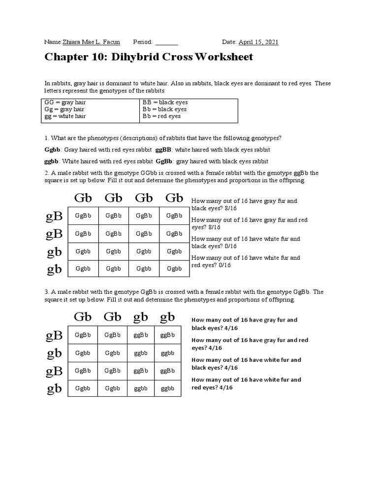 GBGBGBGB GB GB GB GB Chapter 10 Dihybrid Cross Worksheet PDF 