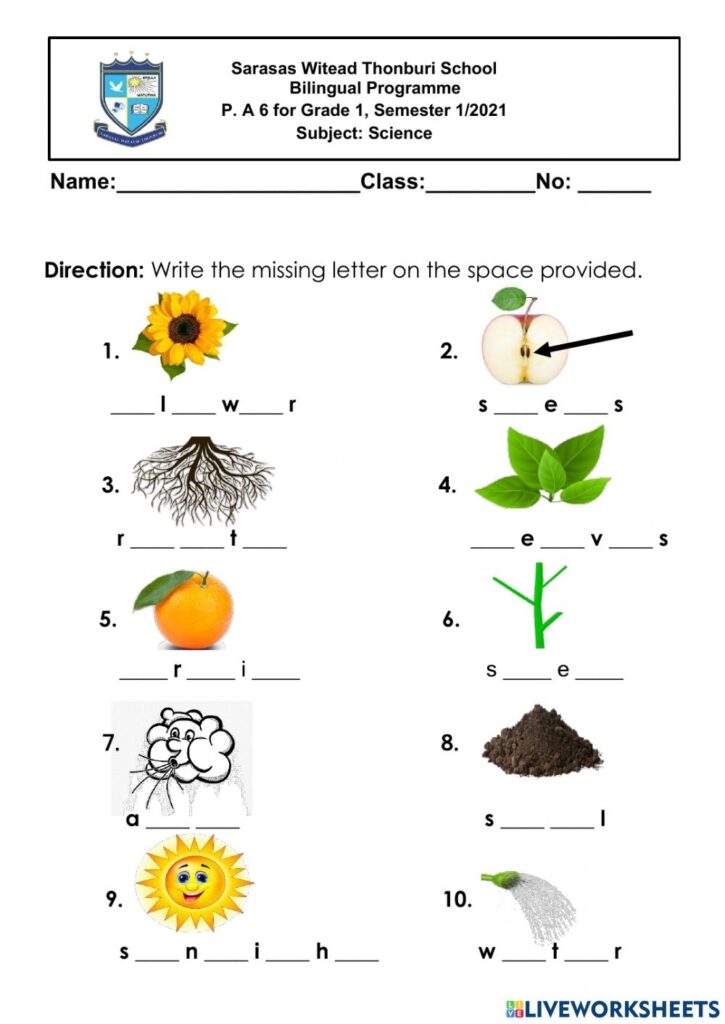 Grade 1 Science Worksheets K5 Learning Science Worksheets For Grade 1