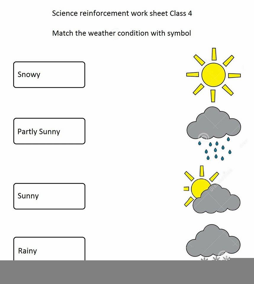 Grade 4 Worksheets Science Scienceworksheets
