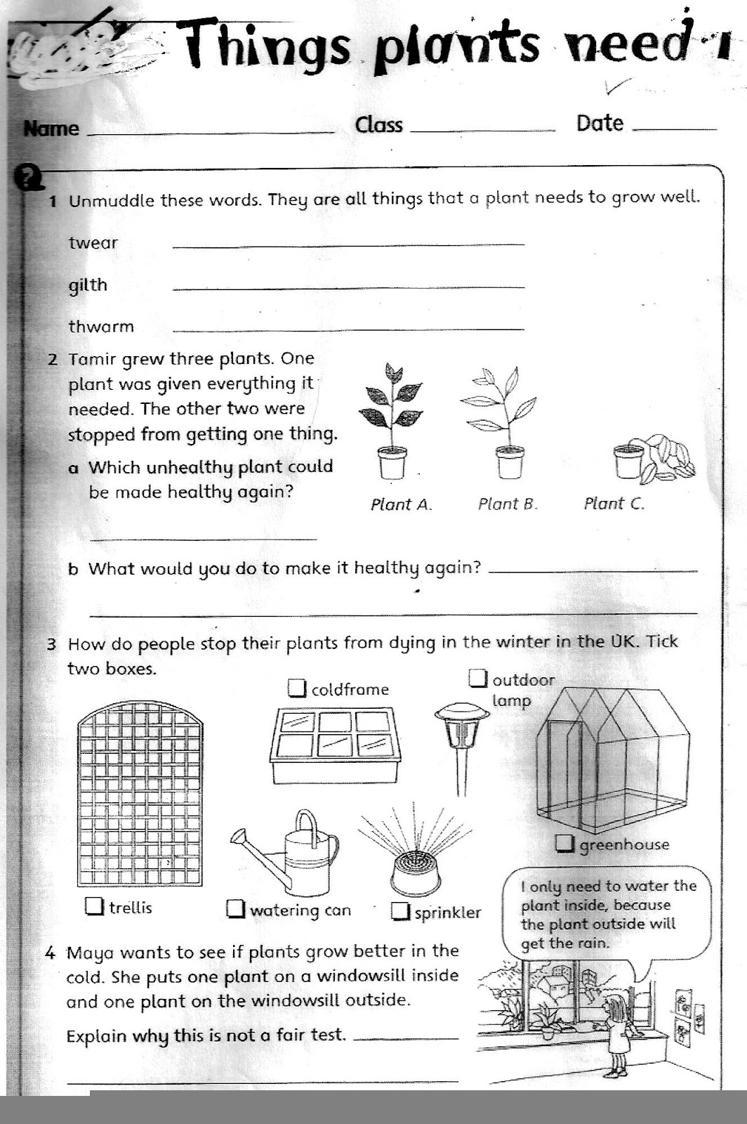 Grade 5 Science Worksheets Plants Scienceworksheets