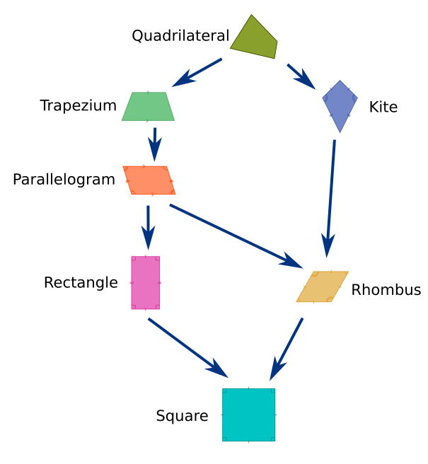 GraphicMaths Quadrilateral Family Tree