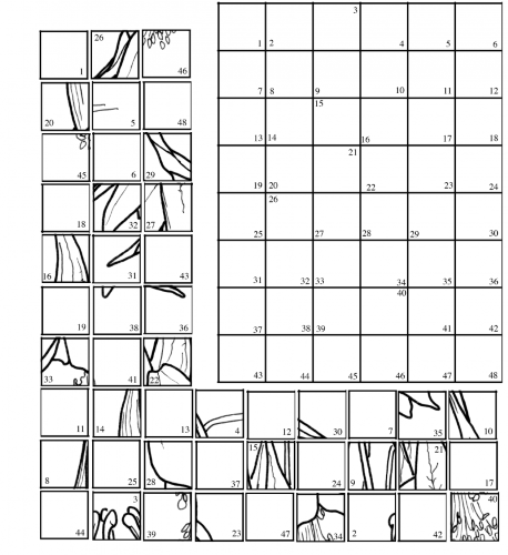 drawing worksheet printable