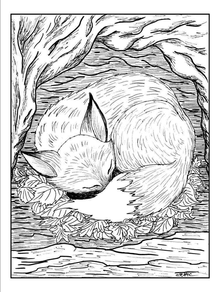Printable Grown Up Coloring Pages