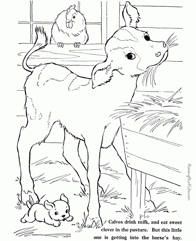 Hard Animal Coloring Pages Coloring Home
