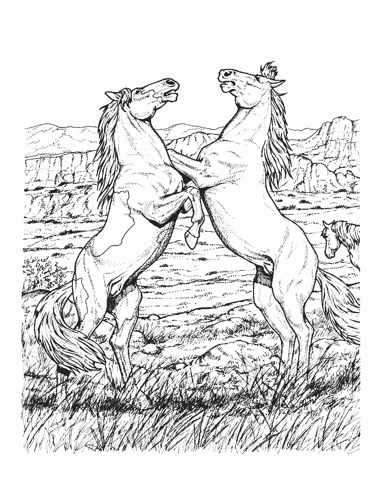 Coloring Page Horse