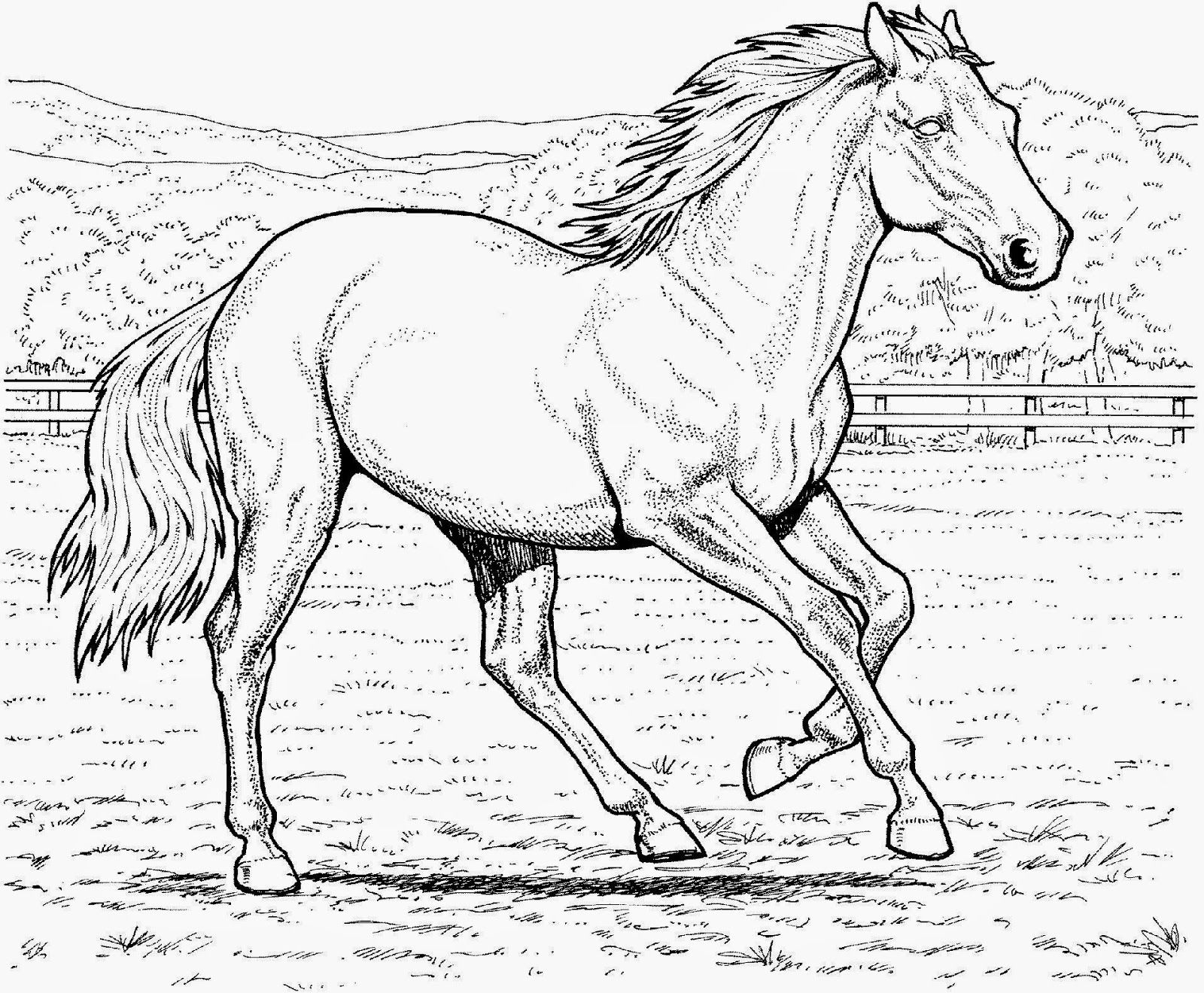 Horses Coloring Pages Horse Coloring Pages Horse Coloring Riset