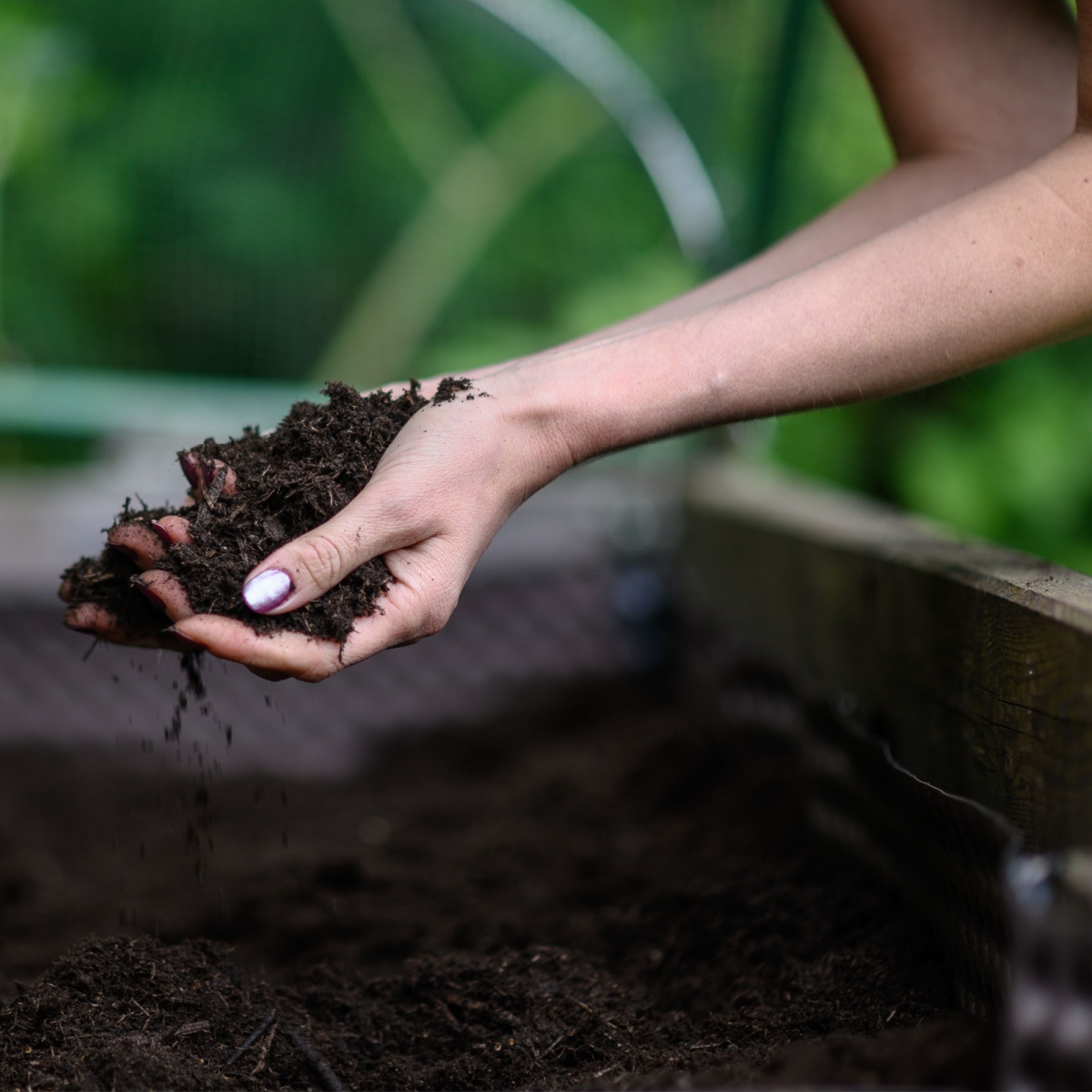 How To Fertilize Raised Beds In Spring Re Energize Your Soil 