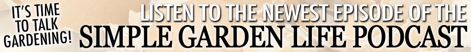 How To Fertilize Raised Beds In Spring Re Energize Your Soil 