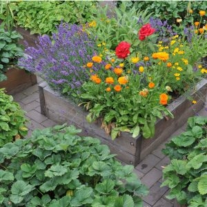 How To Fertilize Raised Beds In Spring Re Energize Your Soil