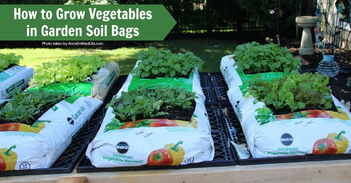 can you use miracle grow in your vegetable garden