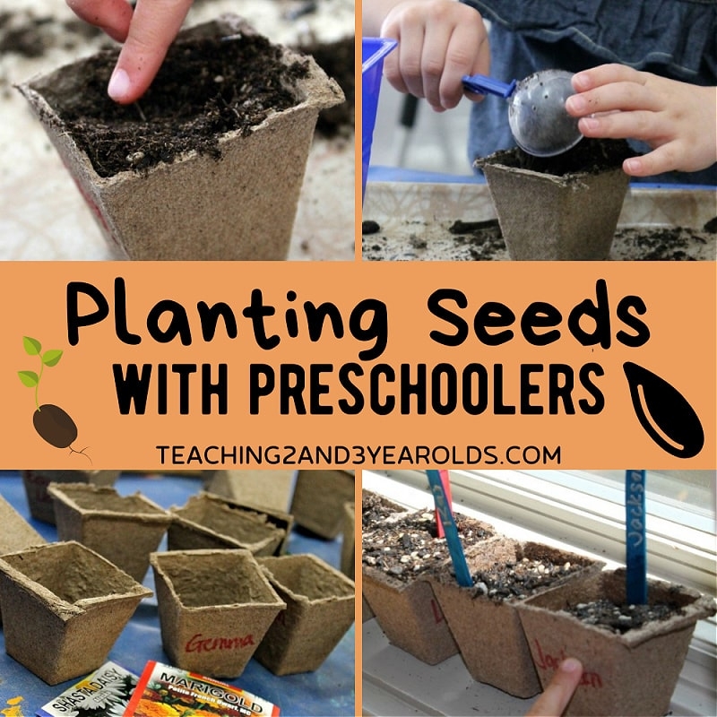 gardening activity