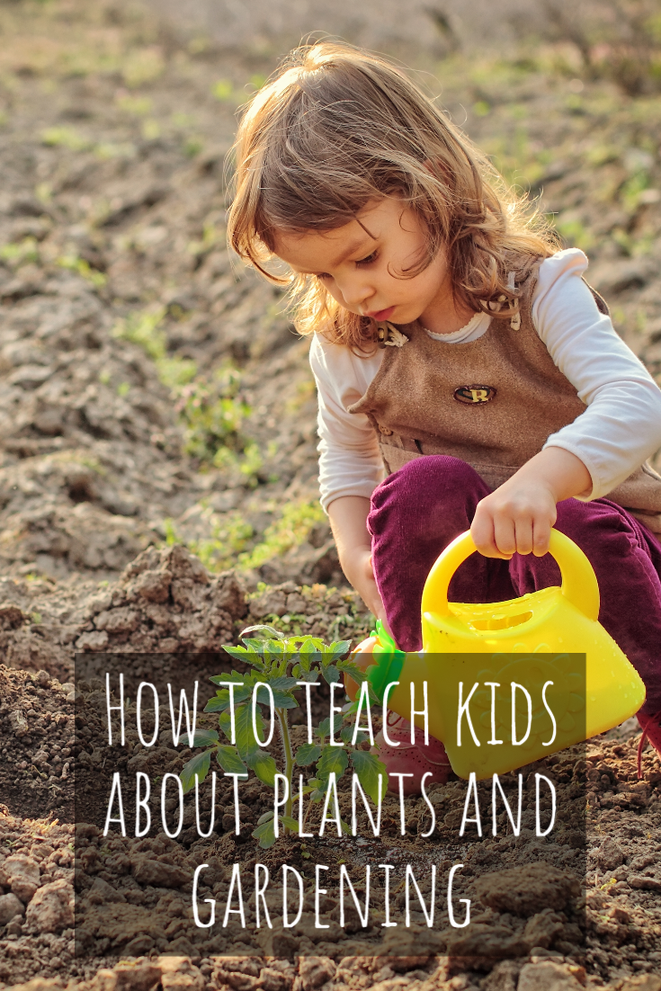 How To Teach Preschoolers About Plants And Gardening Artofit