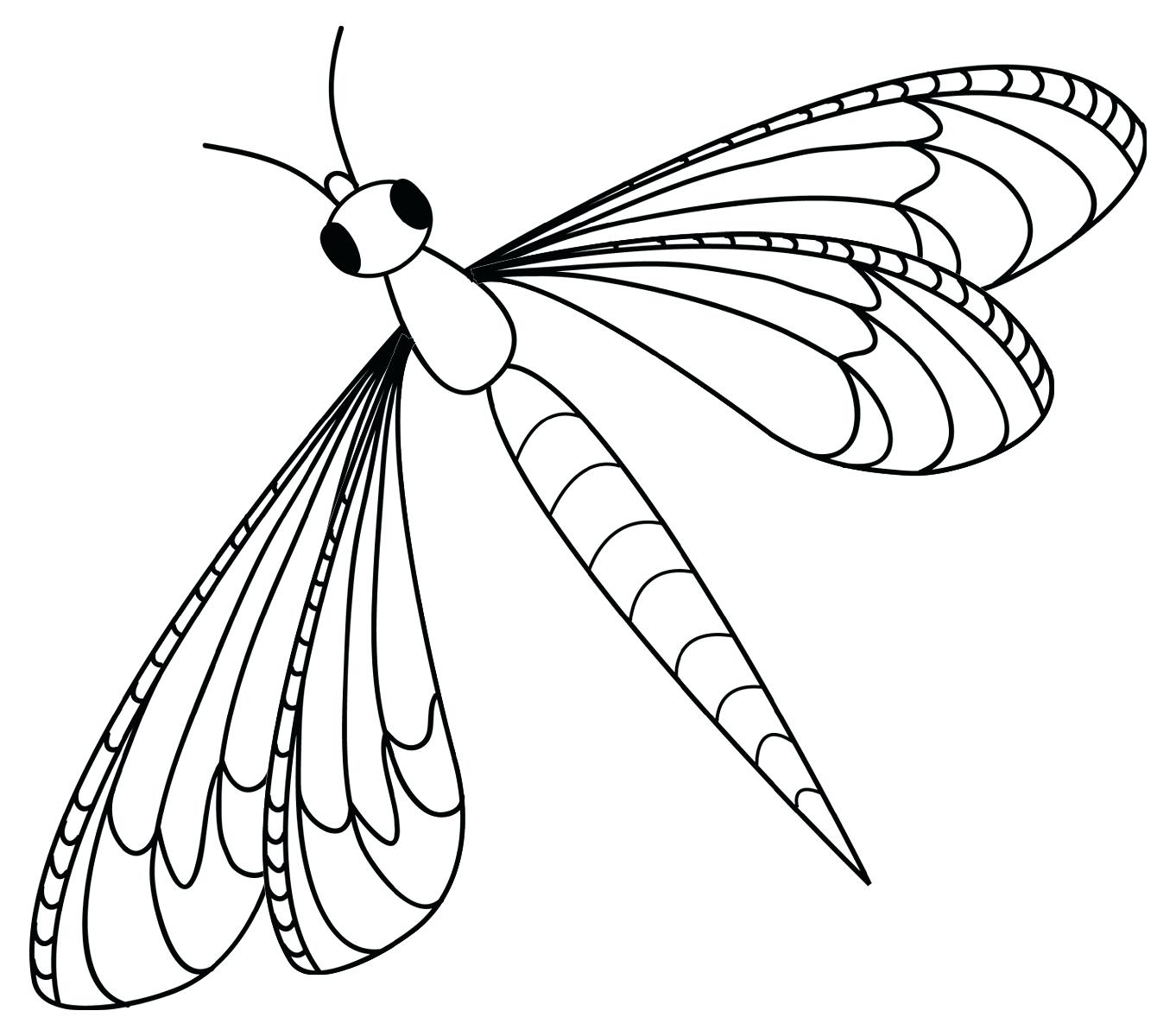 Insect Coloring Pages