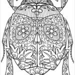 Insect Coloring Pages To Print ColoringBay