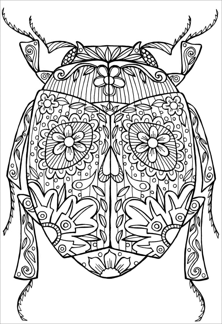 Insect Coloring Pages To Print ColoringBay