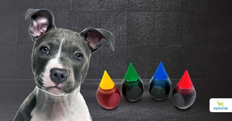 Is Food Coloring Safe For Dogs Dogs Naturally