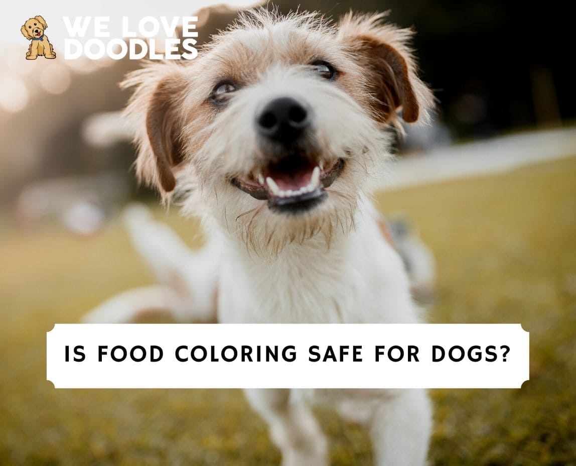 is food colouring safe for toddlers