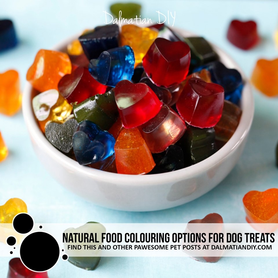 Is Food Colouring Safe For Dogs