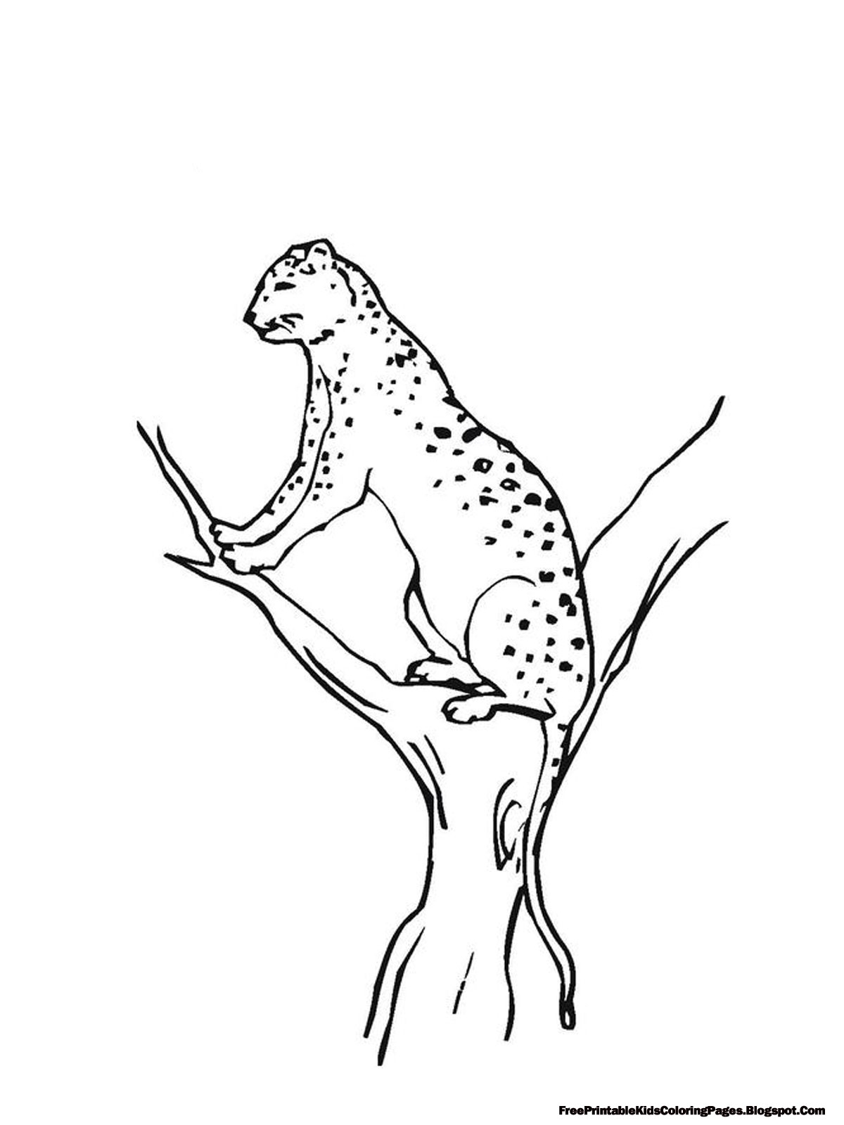 Jaguar Climbing Tree Printable Kids Coloring Pages AMP Blogger Design